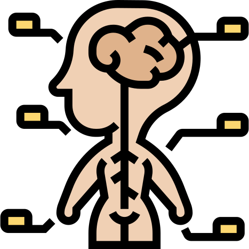 Anatomy Article Image